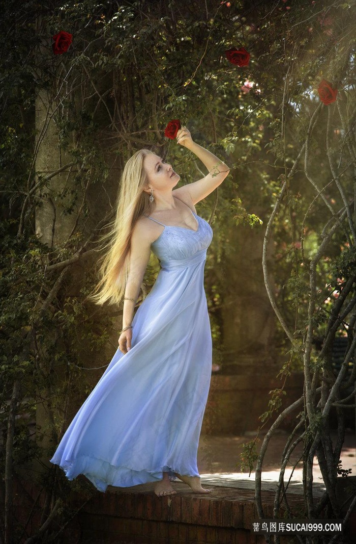 狼群西瓜视频在线观看