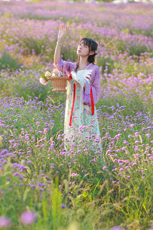 法证先锋第二部