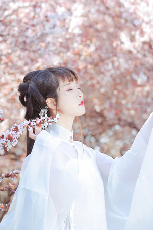 我独自升级第二季