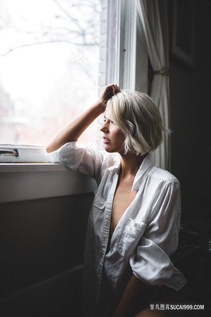 精英律师电视剧免费观看